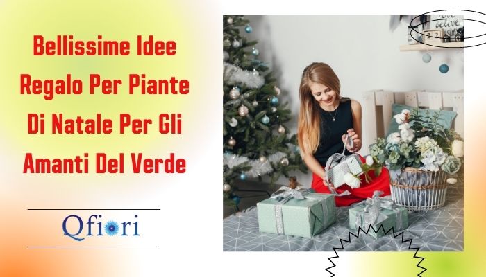 Bellissime Idee Regalo Per Piante Di Natale Per Gli Amanti Del Verde