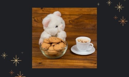 2) Biscotti al cioccolato e combo orsacchiotto