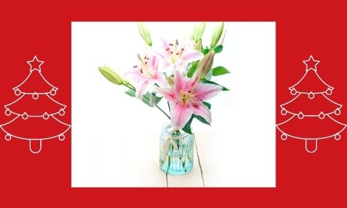 1) Gigli rosa e Bianchi