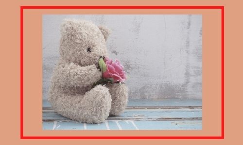 3. Bouquet di rose in peluche perfetto