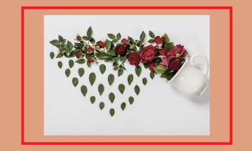 4. Disposizione della tazza delle rose adorabili