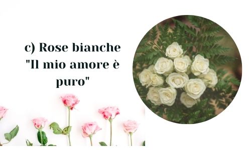 c) Rose bianche 