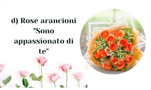 d) Rose arancioni 