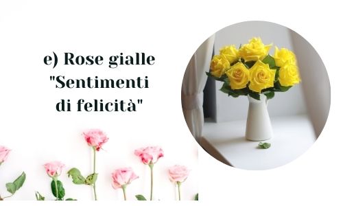 e) Rose gialle 