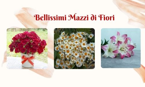 Bellissimi mazzi di fiori