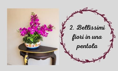 2. bellissimi fiori in una pentola