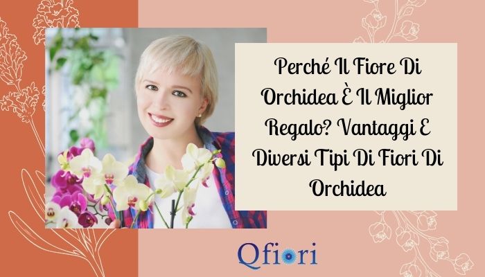 Perché Il Fiore Di Orchidea È Il Miglior Regalo? Vantaggi E Diversi Tipi Di Fiori Di Orchidea