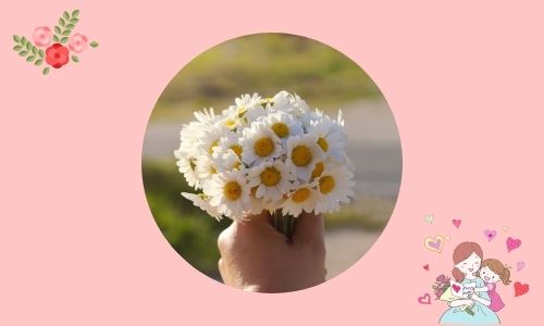 1. Sei elegante - margherita