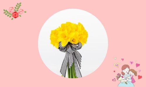 4. Ti apprezzo - narciso giallo