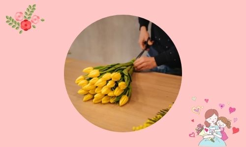 6. Il mio migliore amico - Tulipani gialli