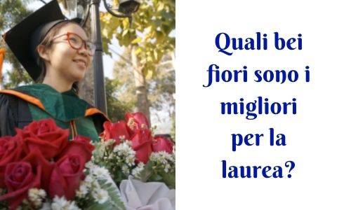 Quali bei fiori sono i migliori per la laurea?