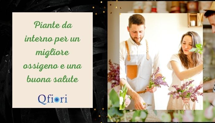 Piante da interno per un migliore ossigeno e una buona salute