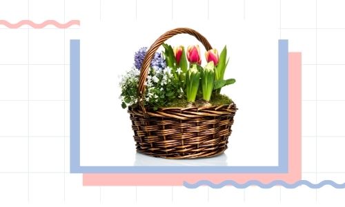 3) Cesto regalo da giardino