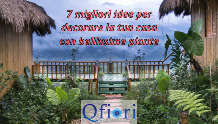 7 migliori idee per decorare la tua casa con bellissime piante