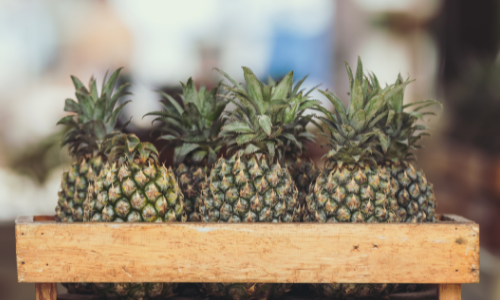 Ananas per la resistenza