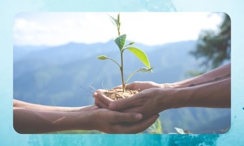 Mini Pianta per la tua persona speciale