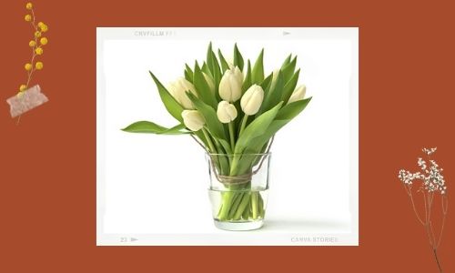 Tulipani per eventi aziendali