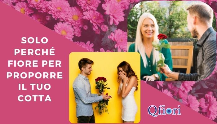 Solo perch&eacute; fiore per proporre il tuo cotta