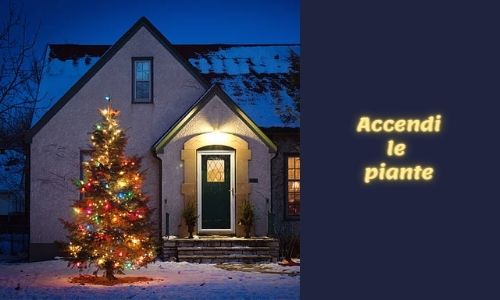 Accendi Le Piante