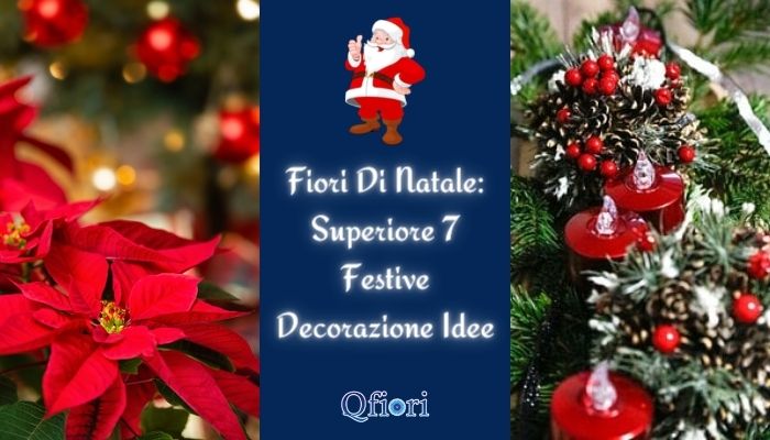 Fiori Di Natale - Superiore 7 Festive Decorazione Idee