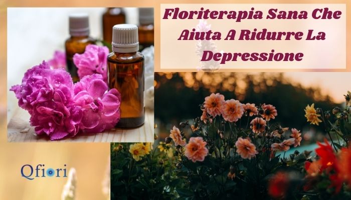 Floriterapia Sana Che Aiuta A Ridurre La Depressione