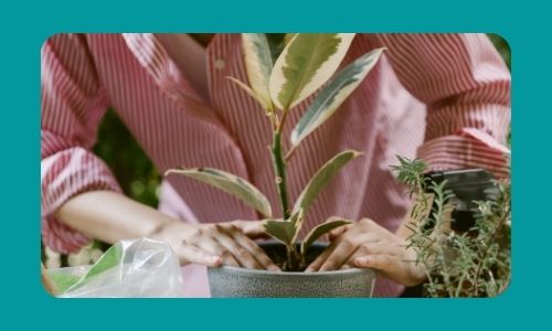 Ad un appuntamento romantico