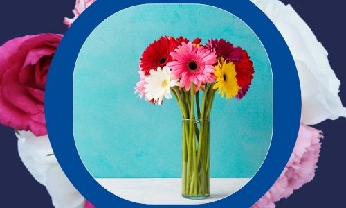 Gerbere per eventi aziendali