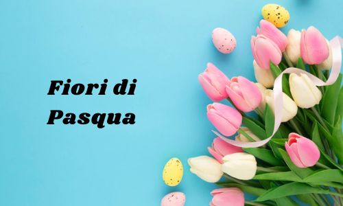 Fiori di Pasqua