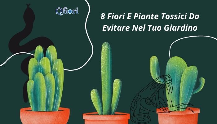 8 Fiori E Piante Tossici Da Evitare Nel Tuo Giardino
