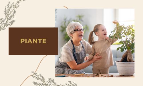 Piante