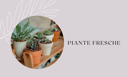Piante fresche