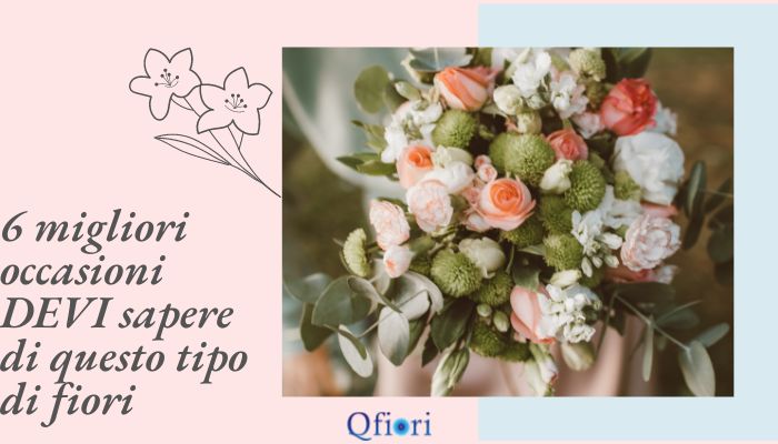 6 migliori occasioni DEVI sapere di questo tipo di fiori
