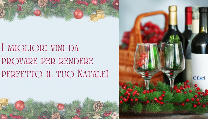 I migliori vini da provare per rendere perfetto il tuo Natale!