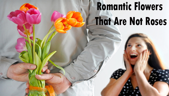 7 fiori romantici per le donne che non sono sorprendentemente Rose