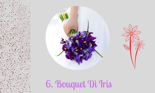 6. Bouquet Di Iris