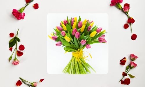 5. Tulipani perfetti