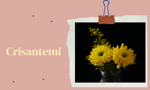 Crisantemi